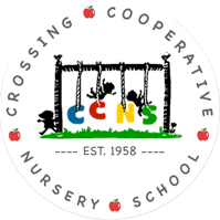 CCNS Logo